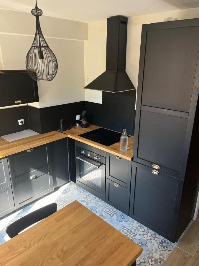 Le Perralieres Charmant 2 Chambres Metro Flachet Villeurbanne Dış mekan fotoğraf